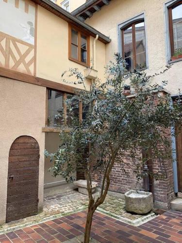 un arbre devant une maison avec un bâtiment dans l'établissement Aube berges de Troyes, à Troyes