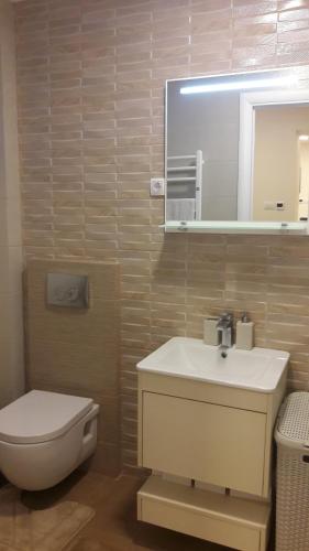 a bathroom with a sink and a toilet and a mirror at Apartment Dedinje Hill 2 in Belgrade