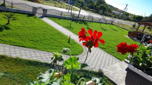 a red flower in a garden with a road at Apartment Kravica in Ljubuški