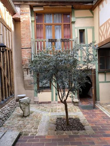 un petit arbre devant un bâtiment dans l'établissement Aube berges de Troyes, à Troyes