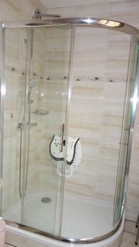 une douche avec une cabine en verre dans une salle de bain dans l'établissement Les Naïades, à Gérardmer