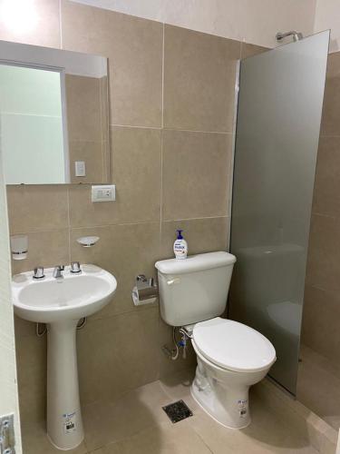 a bathroom with a toilet and a sink at Soya Departamentos PB B in Junín