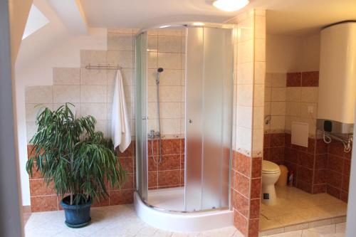 een douchecabine in een badkamer met een plant bij Holiday Vendégház in Eger
