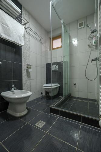 a bathroom with a shower and a toilet and a sink at Villa Sarajevo in Vareš