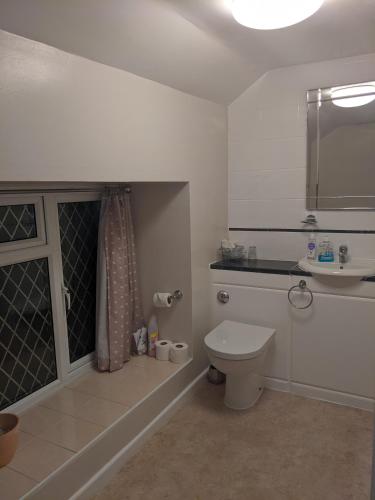 a bathroom with a toilet and a sink at Cwmbach Guest House in Neath