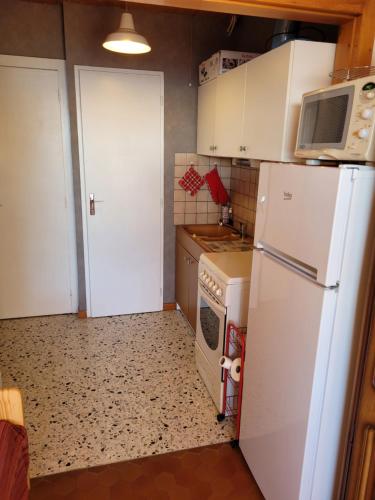 La cuisine est équipée d'un réfrigérateur blanc et d'un four micro-ondes. dans l'établissement studio le panorama, à La Bresse