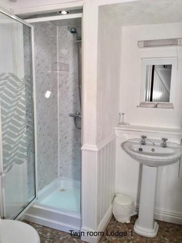 a bathroom with a shower and a sink at Cwmbach Guest House in Neath