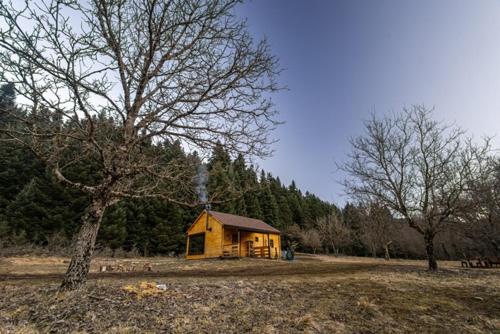 a small yellow house in a field with a tree at Wood Cabin by the River - for Nature Lovers in Vytina