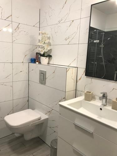 Kúpeľňa v ubytovaní SZKLARKA