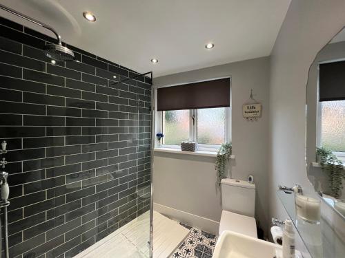 ein Badezimmer mit Dusche, Toilette und Waschbecken in der Unterkunft Rose Cottage in Morpeth