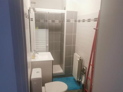 a bathroom with a toilet and a sink and a shower at Bagneres de luchon Hyper Centre in Luchon
