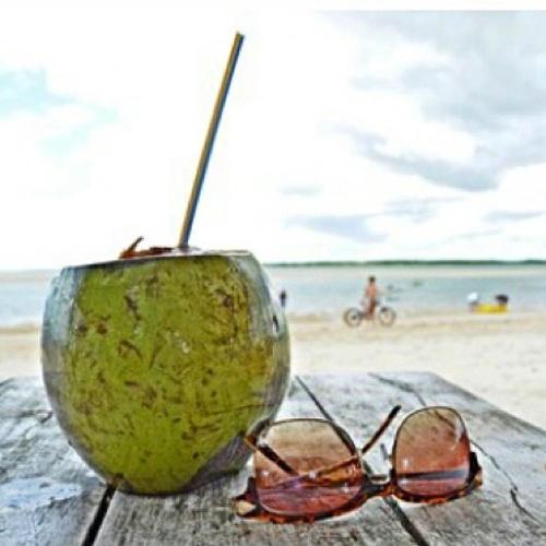 a coconut with sunglasses on a table at the beach at Chalé do Coqueiro in Luis Correia