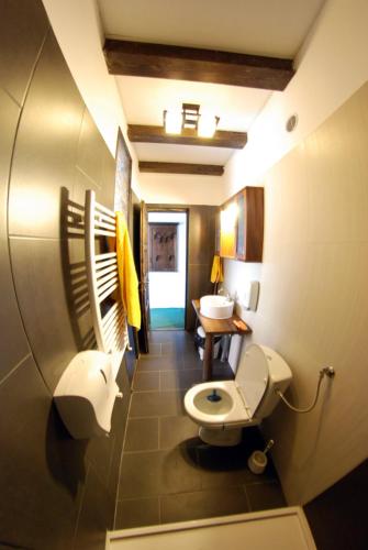 a bathroom with a toilet and a sink at Pensiunea Casa Dacilor in Podeni