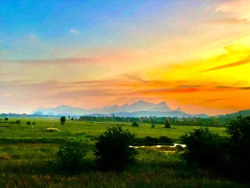 a painting of a field with a sunset in the background at Chang Noi Hua Hin Pranburi fully accessible barrierefrei resort in Ban Nong Sua