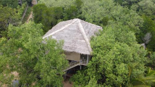 an overhead view of a building in the middle of trees at Mermaid Cabana and Tree Houses in Tangalle