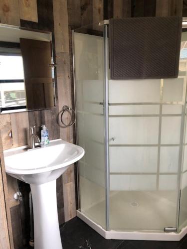 a bathroom with a glass shower and a sink at Cabin 3 at Horse Creek Resort in Rapid City