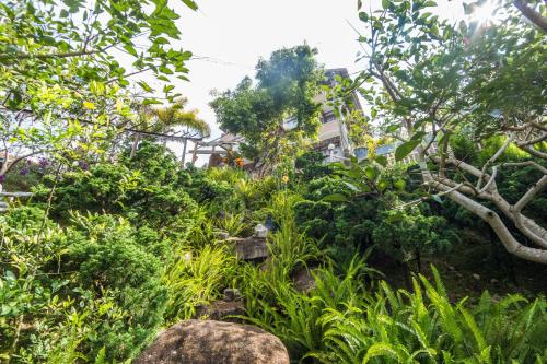 Landskap semula jadi dekat dengan resort