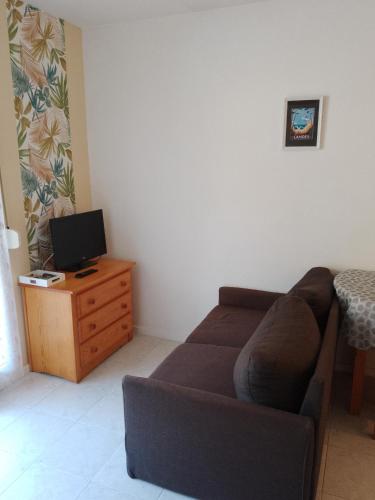 a living room with a couch and a television at Studio pour cure Eugénie les Bains in Eugénie-les-Bains