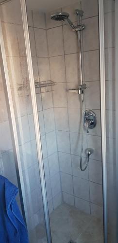 a shower with a glass door in a bathroom at Zum Alten Fährmann in Naumburg