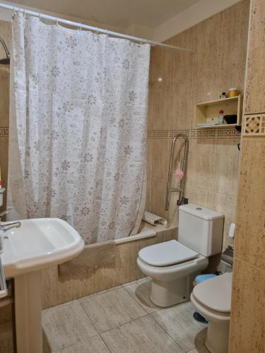 een badkamer met een toilet, een wastafel en een douchegordijn bij Apartamento Olaya in Candelaria