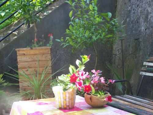 a table with two potted plants on it next to a bench at Cozy studio at the Castle in Budapest