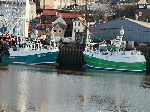 Deerness, 4star gold award 2024, Whitby photo 26