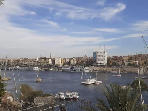 Θέα στο ποτάμι κοντά σε αυτό το δωμάτιο σε οικογενειακή κατοικία
