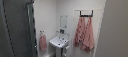 uma casa de banho com um lavatório, um chuveiro e um lavatório branco em Cosy Mews House Close to Harbour em Porthmadog
