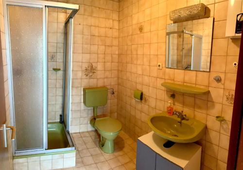 a bathroom with a green toilet and a sink at Ferienwohnung Monteuerswohnung am Bauernhofweg in Lohmar nahe S-Bahnhof in Lohmar