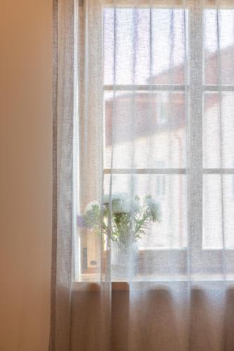 a window with a potted plant sitting on a window sill at B2 Apartments in Klaipėda