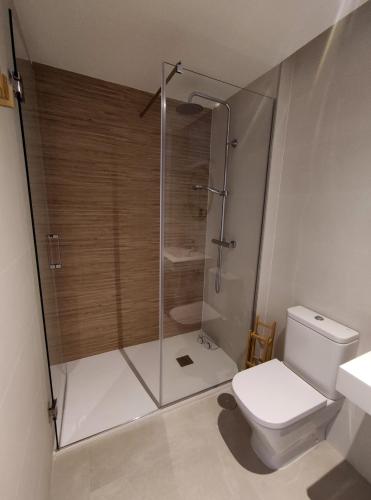 a bathroom with a shower and a toilet at Las Pasaeras in Montehermoso