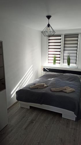 Postel nebo postele na pokoji v ubytování Apartament Zdrojowy