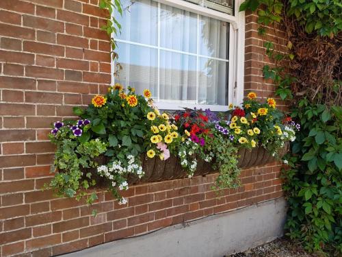 a window box filled with flowers on a brick wall at Fairlawn House in Amesbury