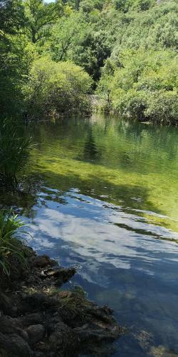 a body of water with trees and bushes at Chambres d'Hôtes Le Mimosa in Saint-Saturnin-de-Lucian