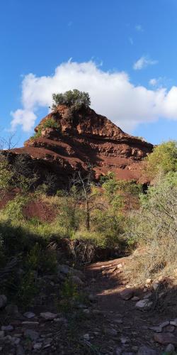 a red hill with a tree on top of it at Chambres d'Hôtes Le Mimosa in Saint-Saturnin-de-Lucian