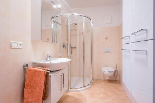 a bathroom with a shower and a sink and a toilet at Urlaub auf dem Bauernhof Hallerhof in Villandro