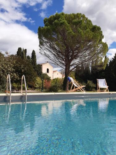 - une piscine avec un arbre et une balançoire dans l'établissement REMY A DIT, à Saint-Rémy-de-Provence