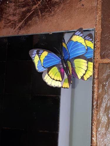 a blue and yellow butterfly is sitting on a window at 13th Avenue Guesthouse Benoni in Benoni