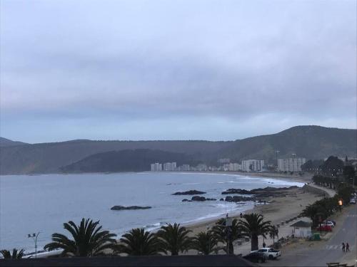 a view of a beach with palm trees and buildings at Espectacular departamento frente a playa chica in Papudo