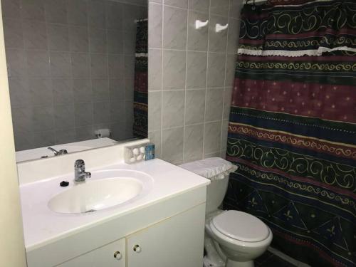 a bathroom with a sink and a toilet and a shower curtain at Espectacular departamento frente a playa chica in Papudo