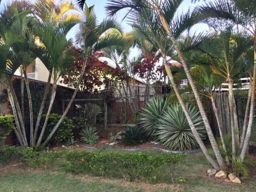 a garden with palm trees in front of a house at Confortável Casa de Campo em Condomínio Fechado in Águas de Lindoia