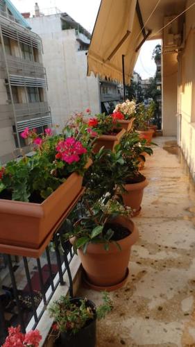 a row of potted plants sitting on a balcony at Nice Apartment Near City Center in Athens