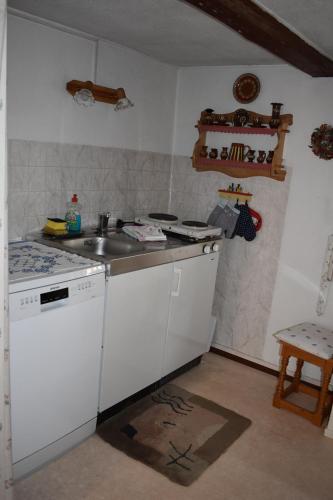 cocina con fregadero y lavavajillas en Adventure House (Abenteuerferienhaus) en Rechenberg-Bienenmühle