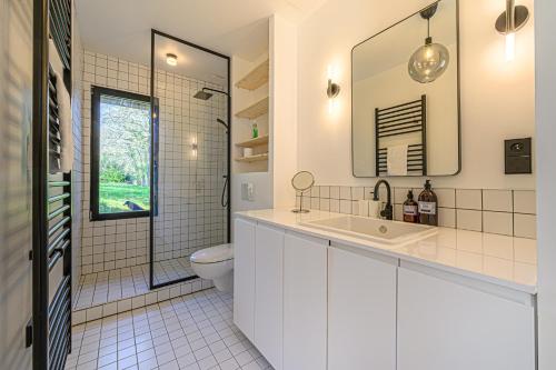 une salle de bain avec un lavabo, des toilettes et un miroir dans l'établissement LA LANDE TREVRAS - Petite Maison de charme, à Baden