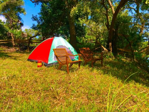 a tent and two chairs in a grassy field at Wilpattu Green Cabin in Achchamulai