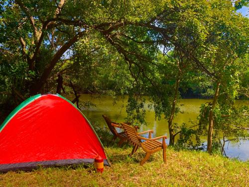 a red tent and a chair next to a lake at Wilpattu Green Cabin in Achchamulai