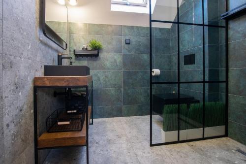 a bathroom with a glass shower and a sink at Stodoła pod Widetą in Wetlina