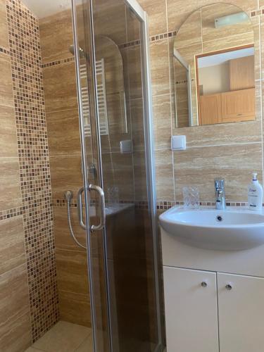 bagno con doccia e lavandino di B Apartment in Vilnius a Vilnius