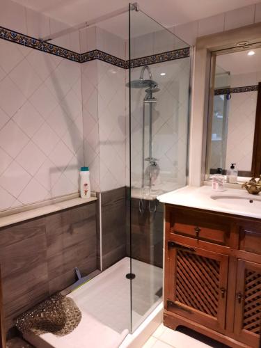 y baño con ducha y lavamanos. en Apartamento medieval en el Camino De Santiago, en Estella