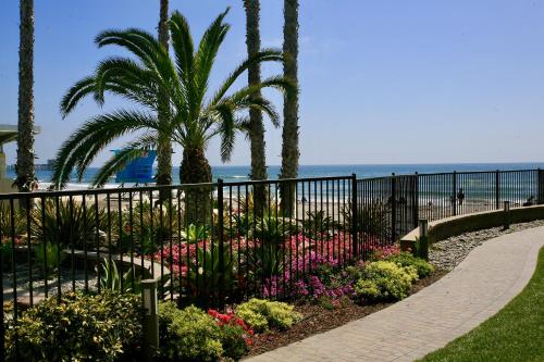 D5 - California Dreamin' – Photos 2